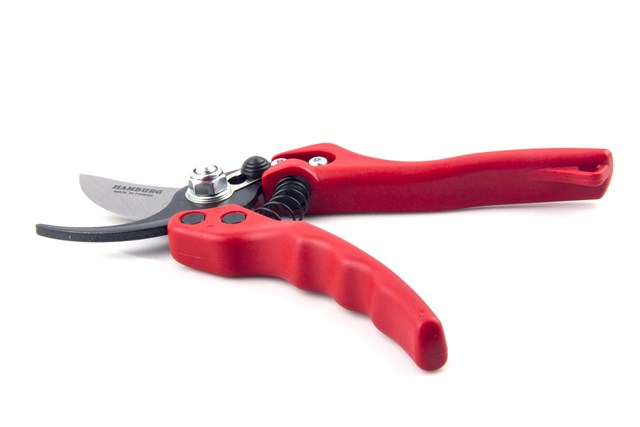 Pruner 3310