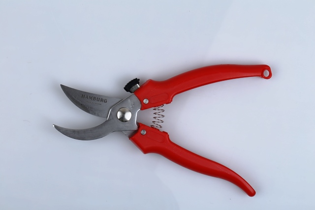 Pruner 3420